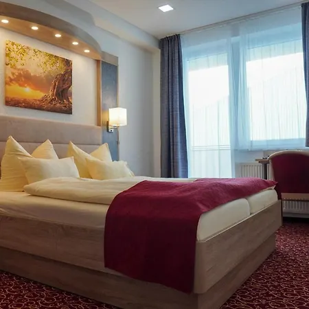Hotel Aara 3*
