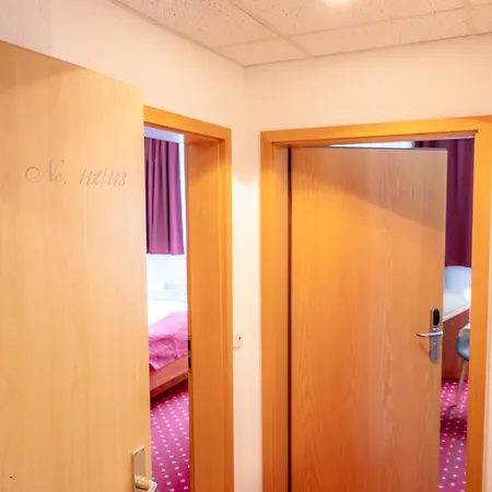 Hotel Aara 3*